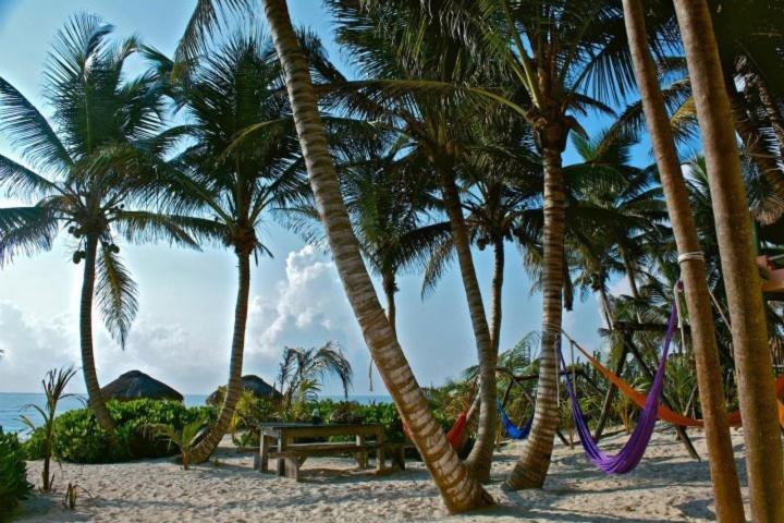 Вилла Playa Selva Тулум Экстерьер фото